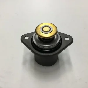 Free Delivery PAI Canada Inc. - 481832 - THERMOSTAT