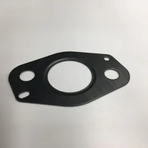 Navistar International - 6040498C1 - GASKET, W/PUMP OUTLET PIPE Express Delivery