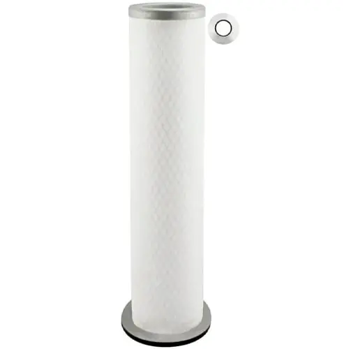 Baldwin Axial Seal Air Filter | PA2419 Bargain